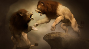 Full View and Download lion fight Wallpaper with resolution of ...