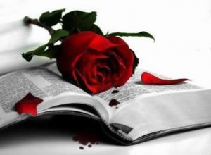 Beautiful Christian Bible verses, Quotes, Scriptures and Desktop ...