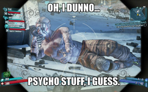Hey, Psycho! Whacha thinkin bout? [Borderlands 2]