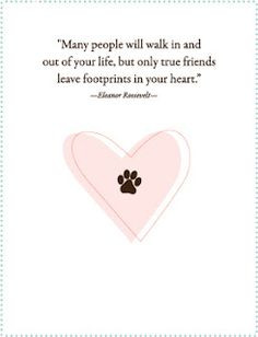Commemorate the loss of a pet with a pet sympathy card More