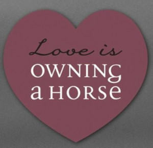 Love is owning a Horse