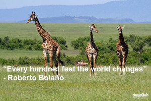 ... hundred feet the world changes” ― Roberto Bolaño #travel #quotes