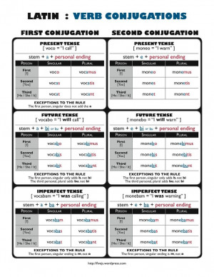 ... Latin verbs. Amo, amas, amat (I love, you love, he/she loves