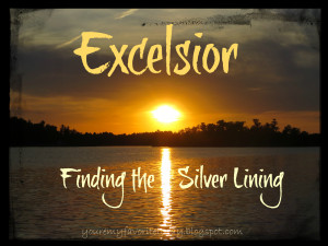 Silver Linings Playbook Quotes Excelsior