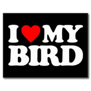 Love My Birds Postcards