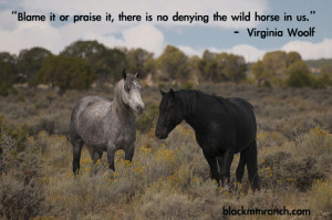 Quotes Wild Horses http://blackmtnranch.com/horse-quotes/