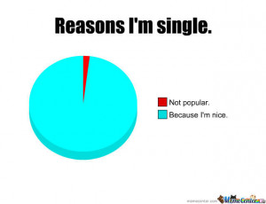 Reasons I Am Single
