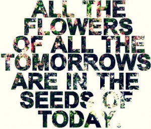 seeds of today
