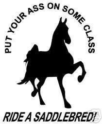 High Hors, Saddlebred Show Horses, Hors Girls, Hors Quotes, Saddlebred ...