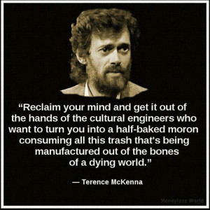 Terrance Mckenna quotes