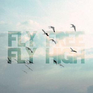 Fly Free Fly High. #quotes