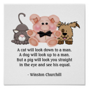 ... quotes by winston churchill source http www zazzle co uk winston