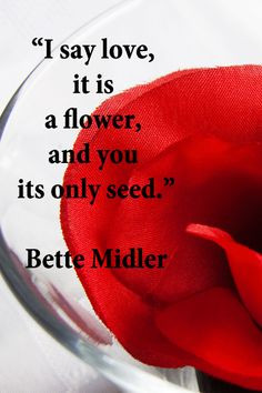 say love, it is a flower, and you its only seed.” -- Bette Midler ...