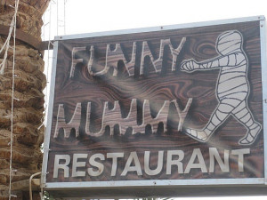 Pictures Funny Bunny Lovely Getting Signs