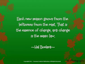 The only way to make sense out of change is to plunge into it