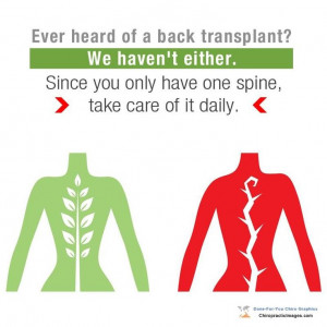 Take care of your spine