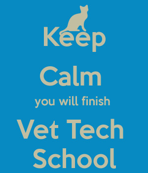 Vet Tech Quotes