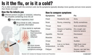 How does the Cold or Flu Virus Affect My Body?