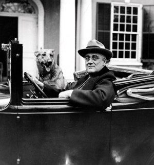 Related Pictures franklin d roosevelt