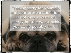 inspirational motivational quotes about dogs quotes motivational dogs ...