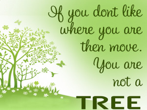 save tree environment hd wallpaper download