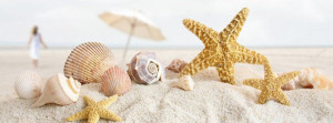 Summer-Sea-Shells-Cover-Photo