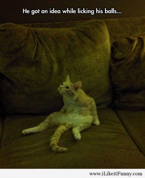 ... quotes, funny sayings, humor, funny school, funny weekend, funny