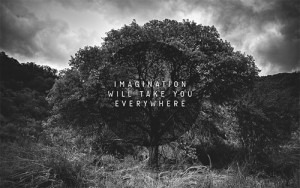 black & white, everywhere, imagination, life, quotes, text
