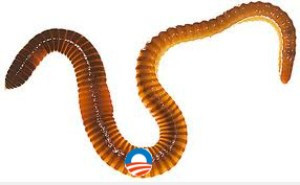 The ‘Obamacare worm’ infests another family with chronically ill ...