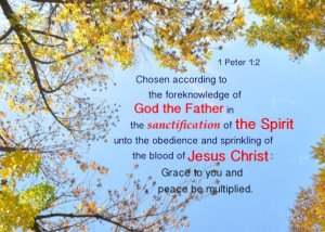 according to the foreknowledge of God the Father in the sanctification ...