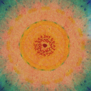 Positive emotions generate a coherent electromagnetic field~