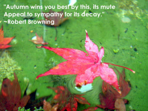 Autumn Quotes