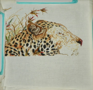 Users saying Thanks (6)