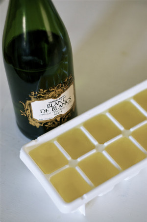 champagne ice cubes for orange juice in the morning!