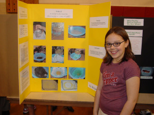 Science Fair Links Project