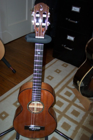 Please Contact Us for Orders & Quotes