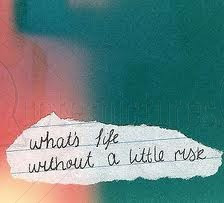Whats Life Without a Little Risk ~ Achievement Quotes