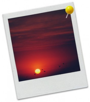 Sunrise3.jpg