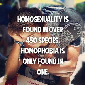 Homosexuality and Homophobia Gay Pride Quote Picture