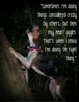 quotes about hunting dogs
