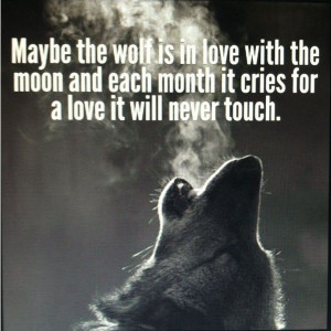Wolf quote Quotes