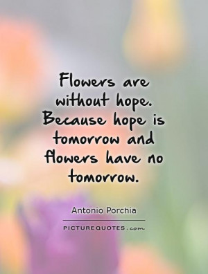 Hope for the Hopeless Quotes