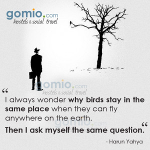 ... can fly anywhere on the earth - Then I ask myself the same question