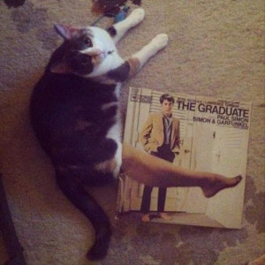 Funny Pictures Of The Day – 76 Pics