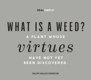 ... virtues have not yet been discovered.