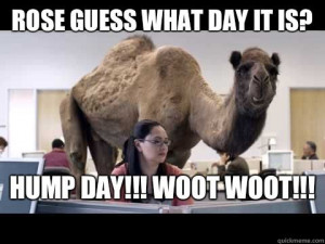 ... camel | Rose guess what day it is HUMP DAY WOOT WOOT - Hump Day Camel