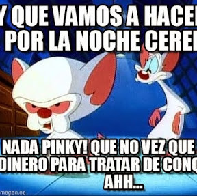 Pinky and the Brain Meme