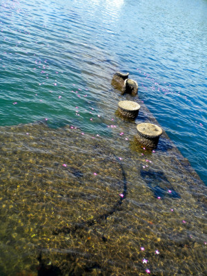 ... , Pearls Harbor, April 2013, Real Things, Pearl Harbor, Travel Lists