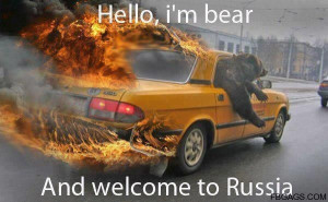 Hello, i'm bear And welcome to Russia