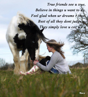 Horse Quotes about Friendship